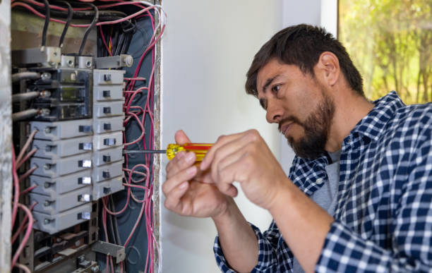Best Ceiling Fan Installation Electrician  in Powell, WY